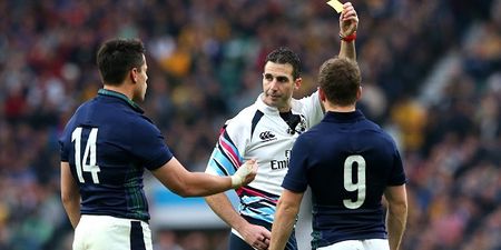 Australian Telegraph trolls Scotland by including referee in Aussie player ratings