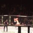 Incredible fan footage of Neil Seery’s neck crushing submission of Jon Delos Reyes (Video)