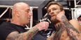 Conor McGregor reveals a different side to himself on this spine-tingling UFC behind-the-scenes film(Video)