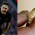 Australian media ramp up All Black rivalry with picture of ‘Richetty grub’ McCaw