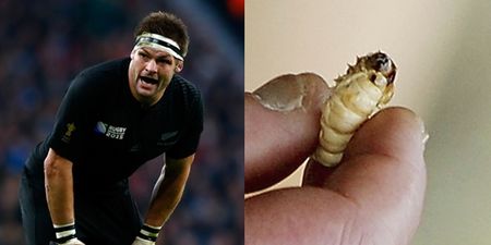 Australian media ramp up All Black rivalry with picture of ‘Richetty grub’ McCaw