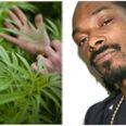 Snoop launches his own cannabis brand ‘Leafs By Snoop’