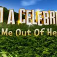 ‘You self-important runt’, ‘You vain old goat’ – The most scathing snipes on I’m A Celeb