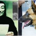 Anonymous are taking revenge on ISIS for the French police dog killed in Paris raid