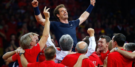 Sir Andy Murray? Sports fans divided on whether the tennis pro should be knighted
