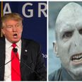 This Google Chrome extension replaces all mention of Donald Trump with Voldemort