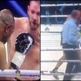 Veteran boxer Roy Jones Jr brutally knocked out by Welshman Enzo Maccarinelli (Video)