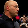 Joe Rogan forced to apologise for comments he made about Jose Aldo’s physique
