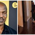 VIDEO: Not even ‘Iron’ Mike Tyson is safe from hoverboard fails