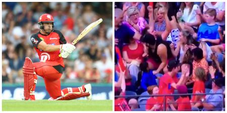 VIDEO: Cricket fan pulls off the catch of the century