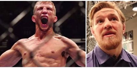 TJ Dillashaw’s latest comments suggest his feud with Conor McGregor is over