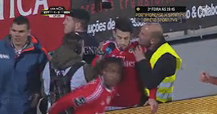VIDEO: Steward abandons all professional inhibitions to celebrate with players