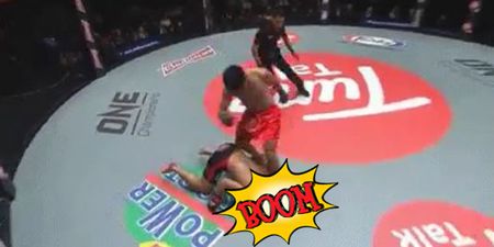VIDEO: Fighter suckers opponent with monstrous kick after clean knockout