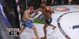 VIDEO: Knockout artist Paul Daley scores another brutal walk off KO