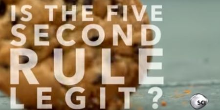 VIDEO: Proof from NASA that it’s (mostly) fine to abide by the five-second rule