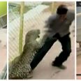 VIDEO: Terrifying scenes as leopard enters school in India