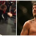 VIDEO: Michael Bisping cracks his coach in the jaw with mistimed spinning wheel kick