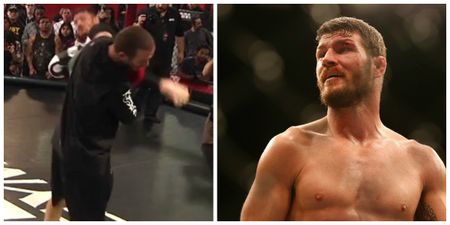 VIDEO: Michael Bisping cracks his coach in the jaw with mistimed spinning wheel kick
