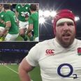 English enforcer James Haskell will love how he was described on Irish radio last night