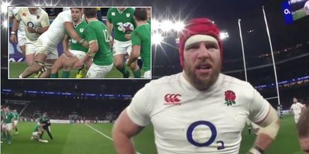 English enforcer James Haskell will love how he was described on Irish radio last night