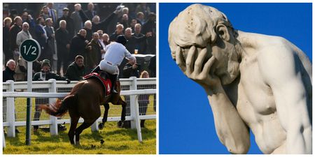 VIDEO: Punters lose £29,000 after race leader fails in bizarre fashion