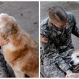VIDEO: This old dog welcoming home a soldier will melt your heart