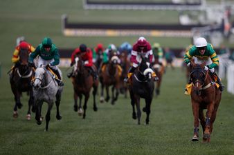 Get all the best action and tips from Cheltenham in our festival live blog!
