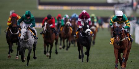 Get all the best action and tips from Cheltenham in our festival live blog!