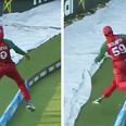 VIDEO: Bangladeshi fielder pulls off genius catch against Pakistan in T20 World Cup