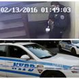 New York police officer filmed shooting ‘friendly’ dog on CCTV