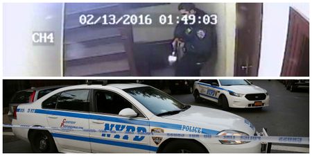 New York police officer filmed shooting ‘friendly’ dog on CCTV