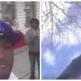 Chicago man live streams himself being shot by gunman in broad daylight