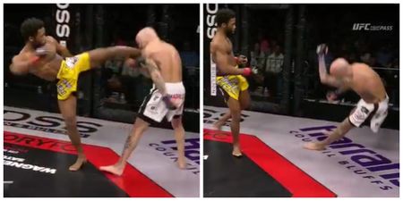This monstrous head kick could be the KO of the year already