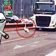 Zero f*cks swan brings Manchester traffic on busy road to a standstill