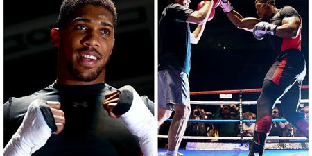 Anthony Joshua looks ferocious on this pad workout with his trainer