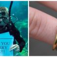 This scuba dive marriage proposal in the Great Barrier Reef has raised the bar for all of us