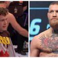 Conor McGregor’s undefeated SBG stable-mate is snatched up by Bellator