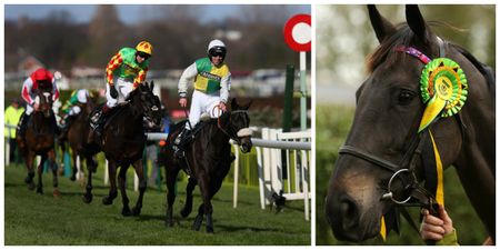 Will another first-timer win the Grand National? Here’s why it could be worth backing a debutant