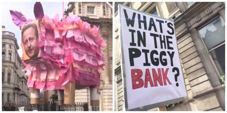 #ResignDavidCameron protesters are making a lot of pig jokes on their signs, of course