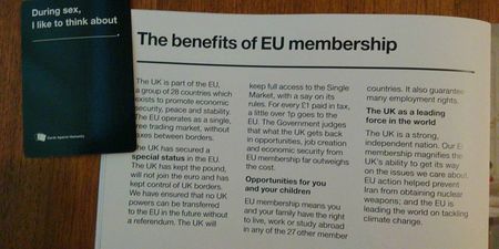 Cards Against Humanity makes the EU referendum way more fun