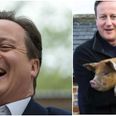 David Cameron makes dirty dad joke at Tory dinner, fails miserably