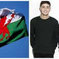 Welsh dragon can’t be flown in support of Welsh contestant at this year’s Eurovision