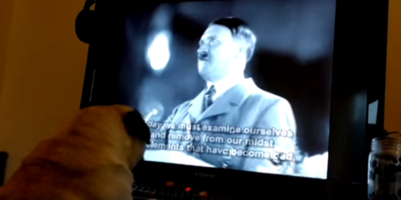 Man arrested for teaching his dog to do a Nazi salute