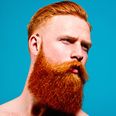 British barber calls for a tax on men with beards
