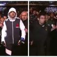 UFC fighter swings a punch at a fan who grabbed him during his UFC 198 walkout