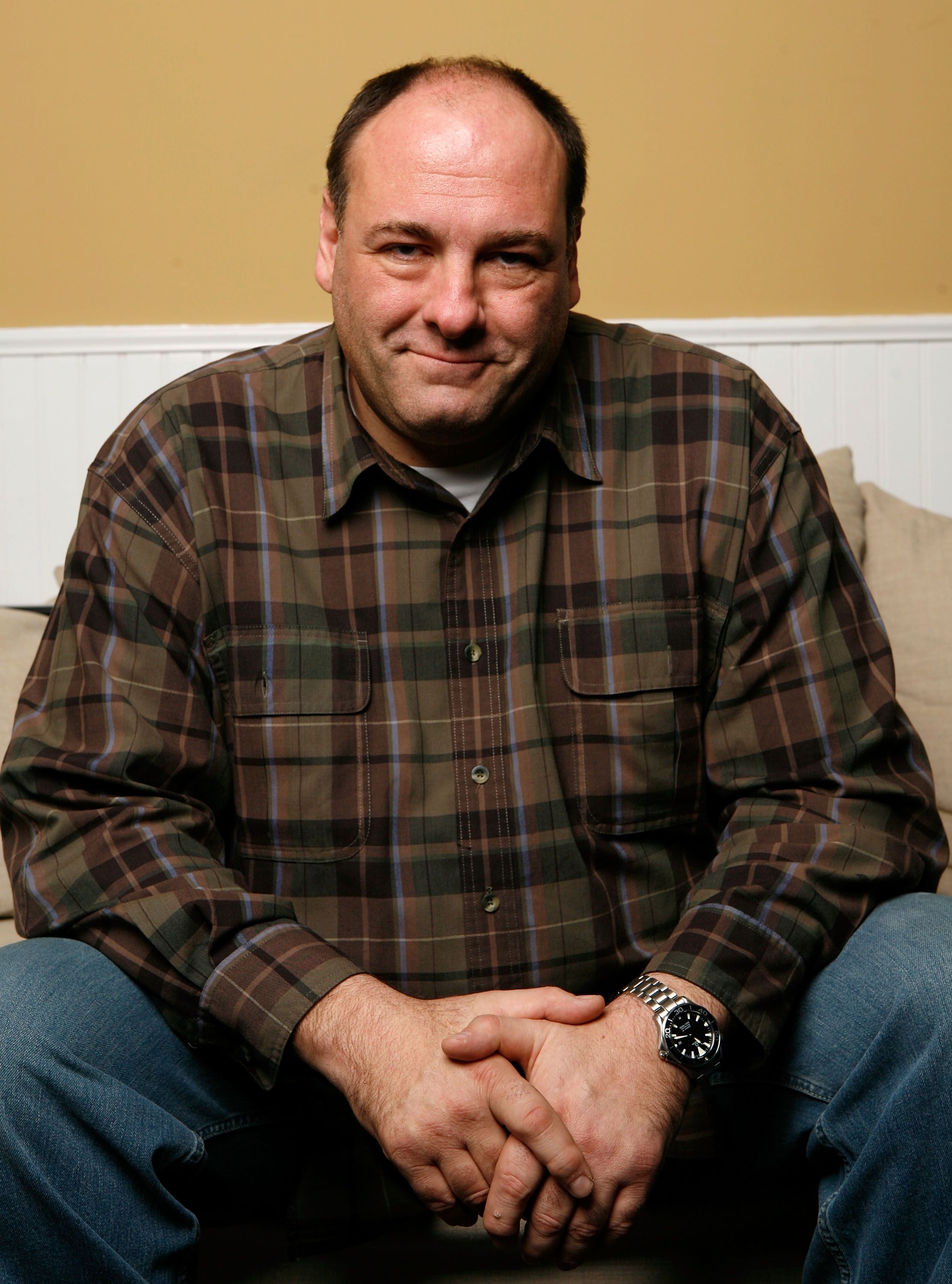 PARK CITY, UT - JANUARY 22:  Actor James Gandolfini of the film "In The Loop" poses for a portrait at The Lift during the 2009 Sundance Film Festival on January 22, 2009 in Park City, Utah.  (Photo by Matt Carr/Getty Images)