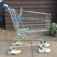 Man finds an abandoned trolley, adopts it, and calls it Trevor