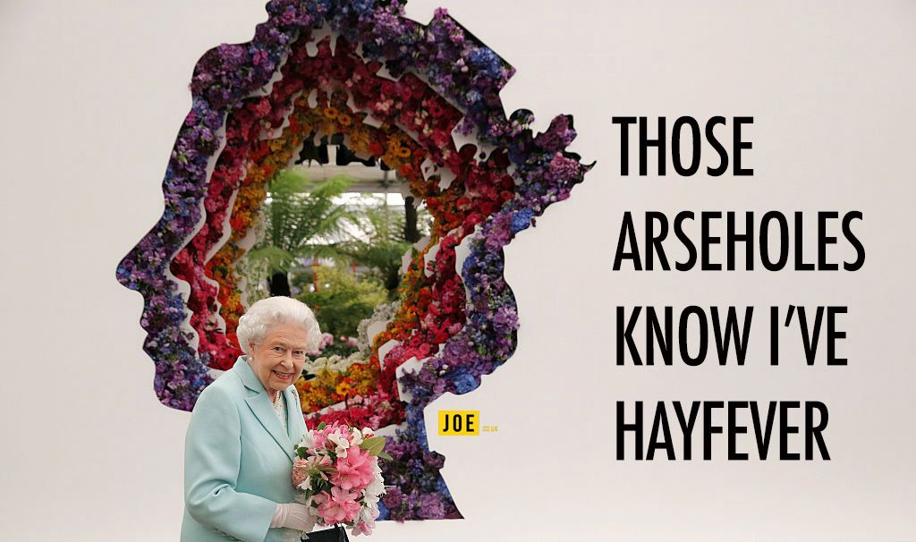 LONDON, ENGLAND - MAY 23: Queen Elizabeth II is pictured next to a floral exhibit by the New Covent Garden Flower Market, which features an image of the Queen, at Chelsea Flower Show press day at Royal Hospital Chelsea on May 23, 2016 in London, England. The show, which has run annually since 1913 in the grounds of the Royal Hospital Chelsea, is open to the public from 24-28 May. (Photo by Adrian Dennis - WP Pool/Getty Images)