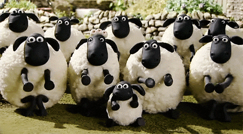 yayomg-shaun-the-sheep-awkward-clap