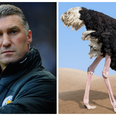 Nigel Pearson takes Derby County job and Aston Villa fans are not one bit happy